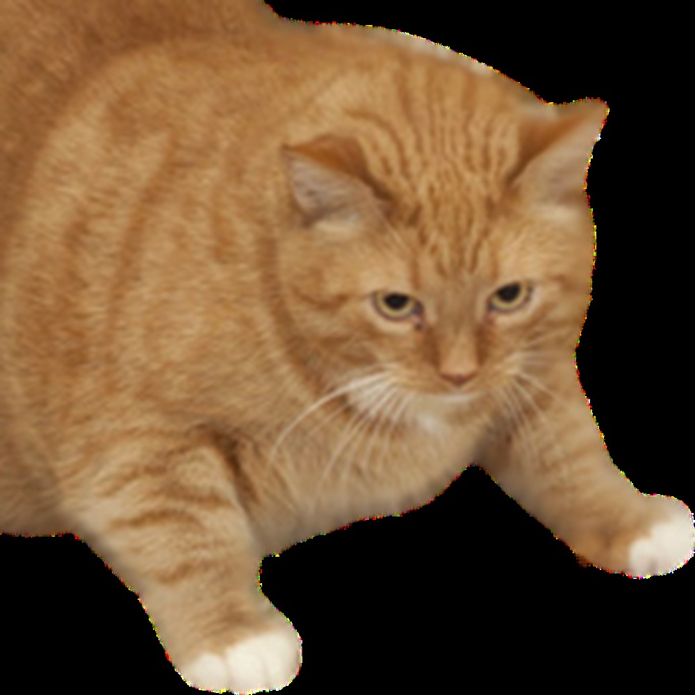 Meet your Posher, Kat
